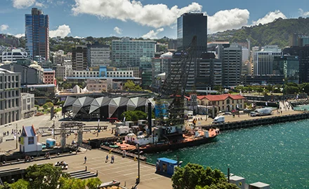 Wellington property and employment report, August 2023